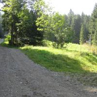 Le sentier de bécret au départ du chalet.